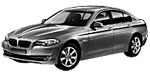 BMW F10 U2697 Fault Code